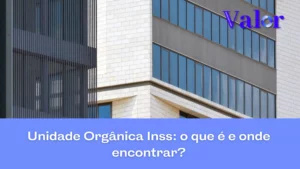 O que é Unidade orgânica INSS e onde encontrar?