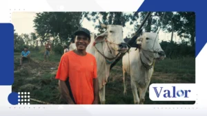 Crédito rural: financiamento, garantias, apoio do governo.