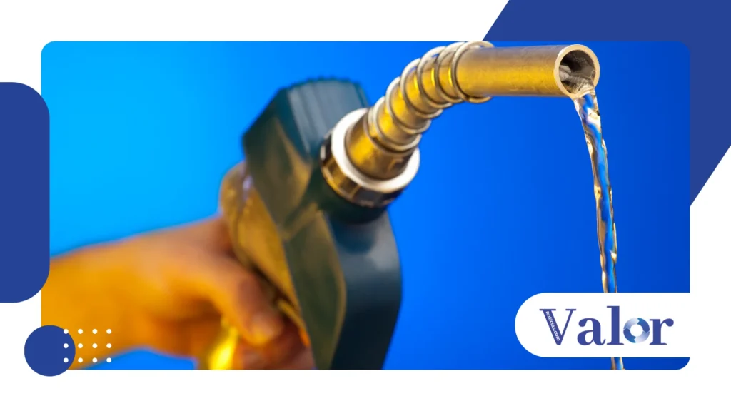 subsídio à gasolina