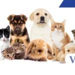 Custo dos pets