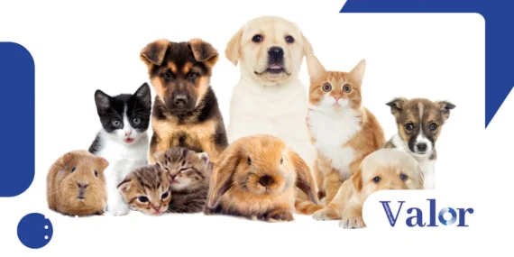 Custo dos pets muda o orçamento de famílias brasileiras